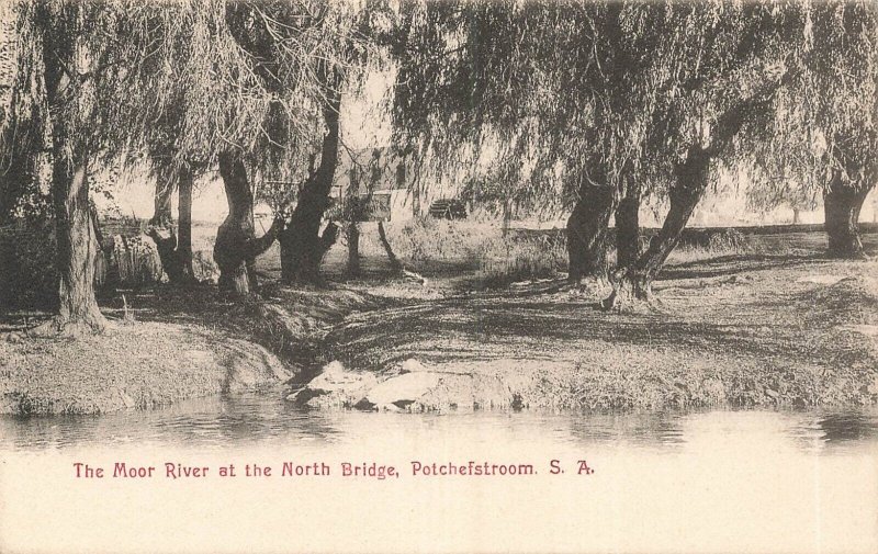 POTCHEFSTROOM POTCH SOUTH AFRICA~MOOR RIVER AT NORTH BRIDGE~1900s PHOTO POSTCARD