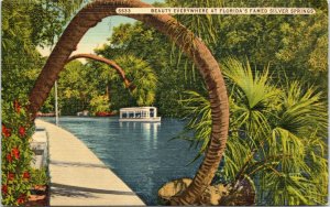 postcard FL - The Horse Shoe Palm at Beautiful Silver Springs