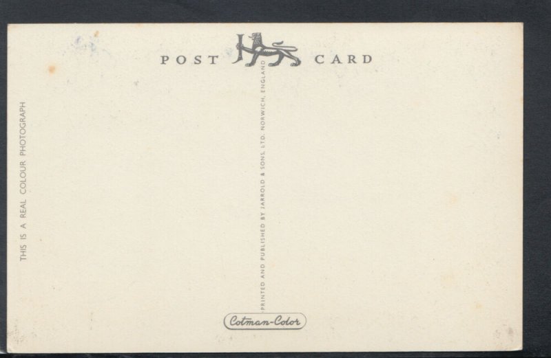 Devon Postcard - Westward Ho, From Kipling's Walk   T6280