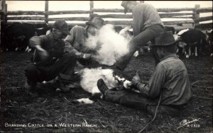 Cowboy Branding Cattle Western Ranch SANBORN Real Photo Postcard