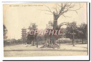 Laeken Old Postcard THE big Chinese Tower and Linden (tree tree)