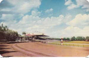 Horse Race Track , Hialeah , Florida , 1950-60s