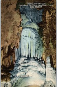 Frozen Waterfalls Carlsbad Caverns National Park New Mexico Postcard