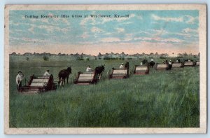 c1930 Winchester Kentucky KY Vintage Postcard Cutting Blue Grass Field Farming