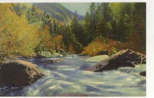 CO Estes Park Devils Gulch Rocky Mountain Postcard 1936