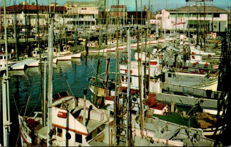 California San Francisco Fisherman's Wharf Fishing Fleet