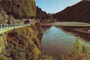 BR99093 hawks crag and the buller river buller gorge nelson new zealand