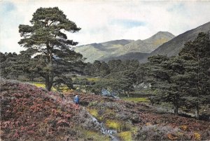 uk45213 glen affric inverness shire  scotland  uk