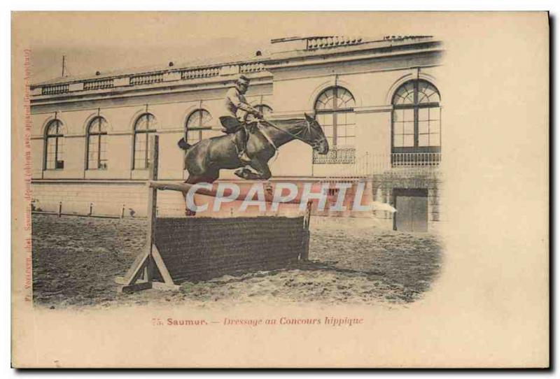 Old Postcard Saumur Horse Equestrian Dressage horse show
