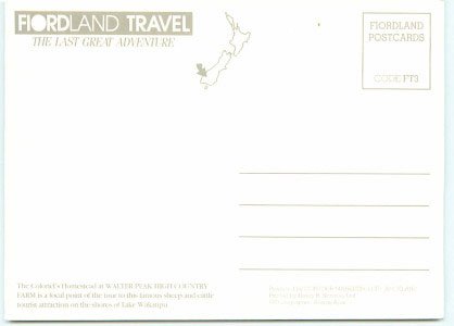 New Zealand Greeting Postcard