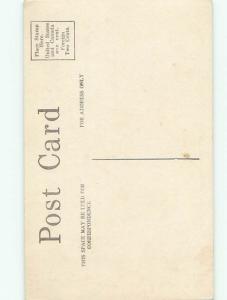 Divided-Back BEAUTIFUL FLOWERS SCENE Great Postcard AA3099