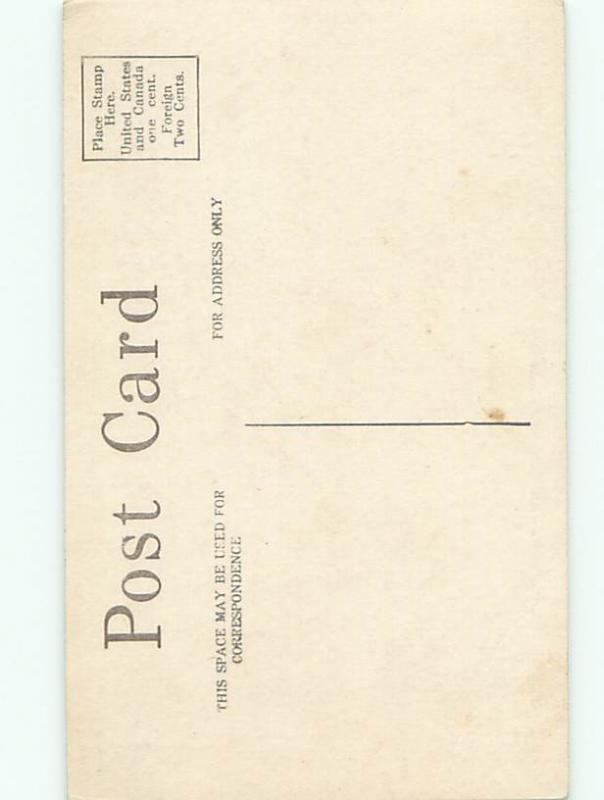 Divided-Back BEAUTIFUL FLOWERS SCENE Great Postcard AA3099