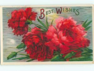 Divided-Back BEAUTIFUL FLOWERS SCENE Great Postcard AA2441