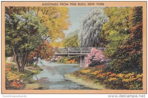 New York Greetings From Pine Bush 1949