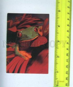 260106 Russia FROG Pocket CALENDAR 1993 year