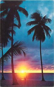 Sunset in Barbados green throated carib bird stamp