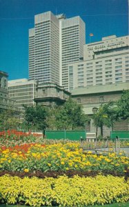 Canada Montreal Quebec Canada Tulips Dominion Square Vintage Postcard 07.73 