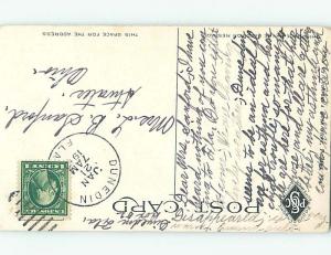Divided-Back BOTANICAL SCENE Postmarked Dunedin Florida FL HJ7211