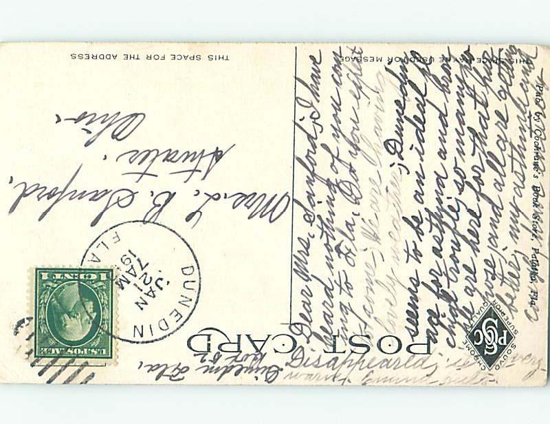 Divided-Back BOTANICAL SCENE Postmarked Dunedin Florida FL HJ7211