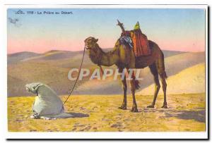 Old Postcard The Prayer of the desert (camel camel)