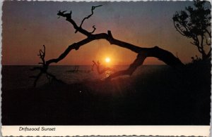 Driftwood Sunset Panama City Beach FL Postcard PC402