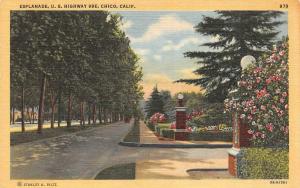 CHICO, CA California    ESPLANADE~U.S. HIGHWAY 99E   c1940's Linen Postcard