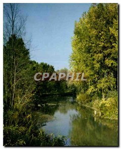 Modern Postcard La Fere Aisne The edges of the water in autumn