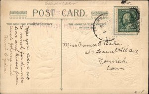 Thanksgiving Beautiful Woman Grapes Turkey Gilt Embossed Vintage Postcard