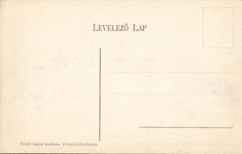 hungary, FONYÓD-FÜRDÖ, Villa Részlet, Panorama (1910s)