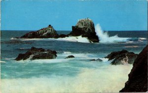Seal Bird Rocks Laguna Beach California Offshore Crescent Bay Emerald Postcard