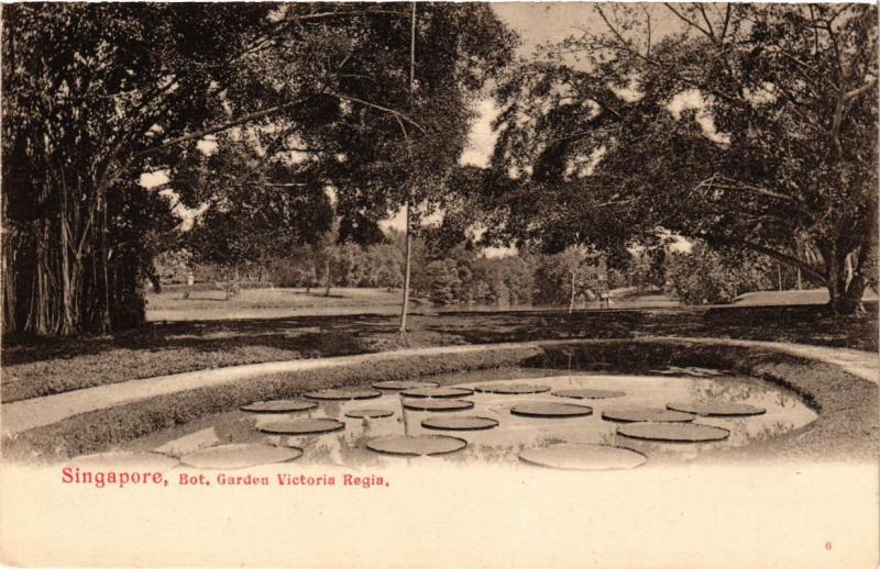 CPA AK SINGAPORE Bot. Garden Victoria Regia (a1478)