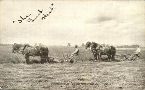 Gathering Hay Hayfield - Sweet Scented Hay - New Brunswick Canada - pm 1909 - DB