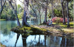 Postcard FL Silver Springs Senior Couple on Bench by Silver River tour boat