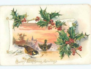 Divided-Back BIRDS SCENE Pretty Postcard AA8806