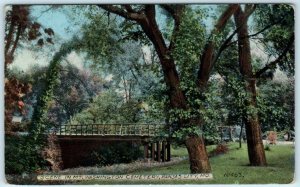 KANSAS CITY, Missouri  MO  Scene in MT. WASHINGTON CEMETERY ca 1910s Postcard