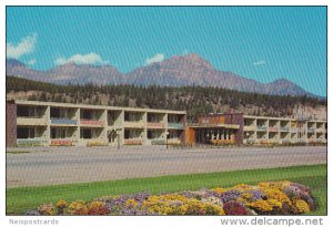 Andrew Motor Lodge , JASPER , Alberta , Canada , 50-60s