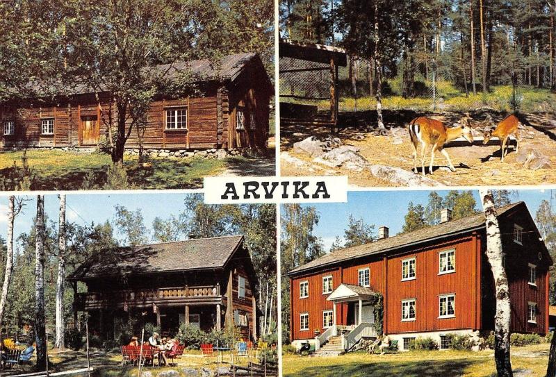BR86196 arvika deer sweden
