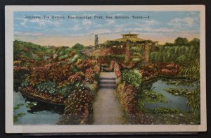 San Antonio, TX - Japanese Tea Garden - Brackenridge Park