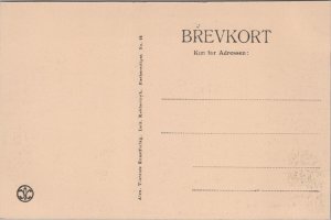 Denmark Kronborg Castle Helsingør Vintage Postcard C026