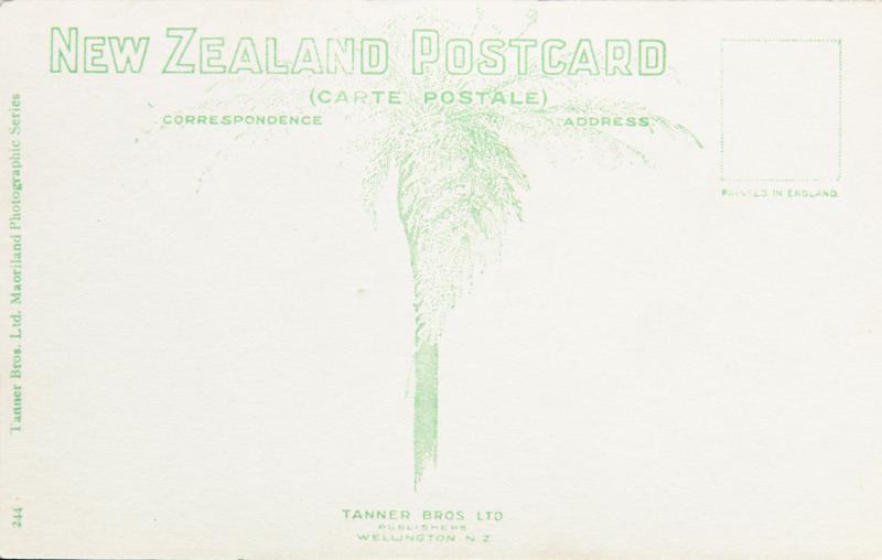St. Clair Beach Dunedin New Zealand NZ Birdseye RPPC Tanner Bros Postcard D32