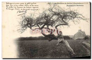 Old Postcard From The Poesies Botrel illustrated Apples Britons Botrel