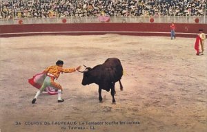 Bull Fight Course De Taureaux Le Toreador touche les cornes du Taureau