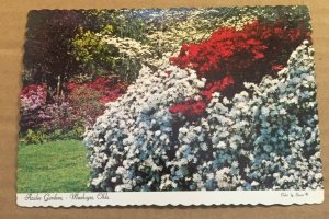 VINTAGE UNUSED POSTCARD - AZALEA GARDENS, HONOR HEIGHTS PARK, MUSKOGEE, OKLAHOMA