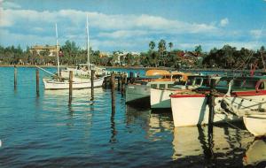 SARASOTA, FL Florida  BOAT SLIPS~DOCK  Waterfront Homes  c1950's Chrome Postcard
