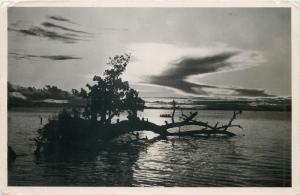 New Guinea sunset real photo postcard