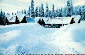 Canada Pine Pass Azu Ski Village Winter Time