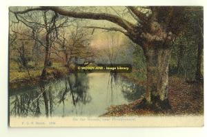 tp1957 - Brockenhurst , New Forest , Hampshire - FGO Stuart postcard