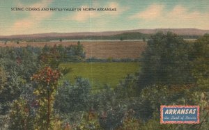 Vintage Postcard Scenic Ozarks and Fertile Valley Mountains North Arkansas AR