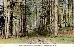 Lake Sunapee, New Hampshire - Miles of paths at Soo-Nipi-Park - in 1912