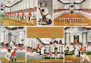 Postcard Austria Vienna - Spanish Court Riding School multiview horse rider